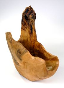 Photo of Tom Mithee Photo of Tom Mithee